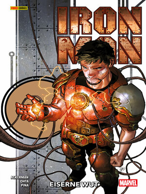 cover image of IRON MAN 1--EISERNE WUT